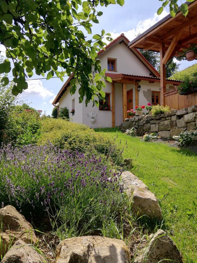 Charming House With Beautiful Landscape Βίλα Frýdštejn Εξωτερικό φωτογραφία