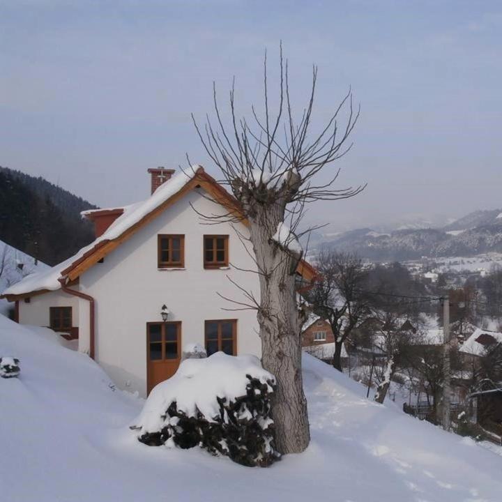 Charming House With Beautiful Landscape Βίλα Frýdštejn Εξωτερικό φωτογραφία