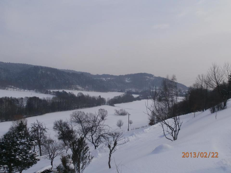 Charming House With Beautiful Landscape Βίλα Frýdštejn Εξωτερικό φωτογραφία